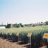Публично национално обсъждане за ОСП след 2020 г. стартира у нас