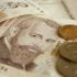 ДФ „Земеделие“ изплати субсидии по схемата за младите стопани