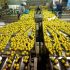 Предоставя се възможност на Работодателите да повишат квалификацията на своите служители